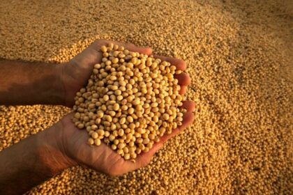 la-industria-semillera-respaldo-el-nuevo-sistema-de-control-varietal:-“la-innovacion-debe-ser-vista-como-una-herramienta-para-el-productor,-no-un-costo”