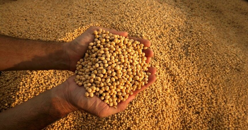 la-industria-semillera-respaldo-el-nuevo-sistema-de-control-varietal:-“la-innovacion-debe-ser-vista-como-una-herramienta-para-el-productor,-no-un-costo”