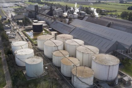 “parece-que-los-viajes-sirven…”:-una-multinacional-invertira-us$-400-millones-para-construir-una-de-las-mayores-plantas-de-molienda-del-mundo-en-argentina