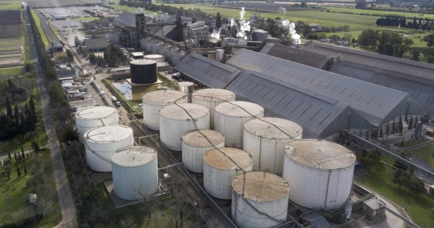 “parece-que-los-viajes-sirven…”:-una-multinacional-invertira-us$-400-millones-para-construir-una-de-las-mayores-plantas-de-molienda-del-mundo-en-argentina