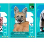 la-ong-vida-silvestre-lanza-un-album-y-figuritas-de-animales-en-peligro-de-extincion-para-coleccionar-y-aprender