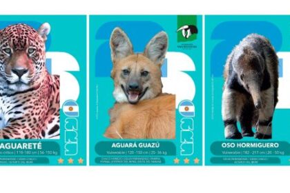 la-ong-vida-silvestre-lanza-un-album-y-figuritas-de-animales-en-peligro-de-extincion-para-coleccionar-y-aprender