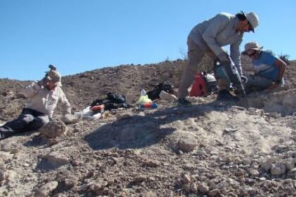 cientificos-argentinos-descubren-un-milenario-y-gigantesco-pariente-de-los-cocodrilos