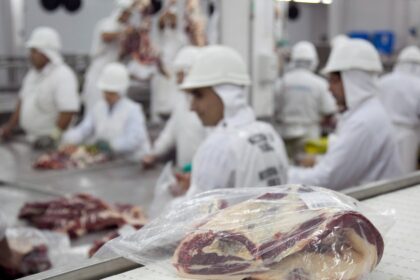 la-union-europea-oficializo-la-exclusion-de-brasil-como-proveedor-de-diferentes-carnes-y-miel