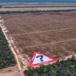multa-record-y-audiencia-clave-por-el-mayor-desmonte-ilegal-del-pais:-la-justicia-exige-reparar-mas-de-11.000-hectareas-arrasadas
