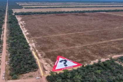 multa-record-y-audiencia-clave-por-el-mayor-desmonte-ilegal-del-pais:-la-justicia-exige-reparar-mas-de-11.000-hectareas-arrasadas