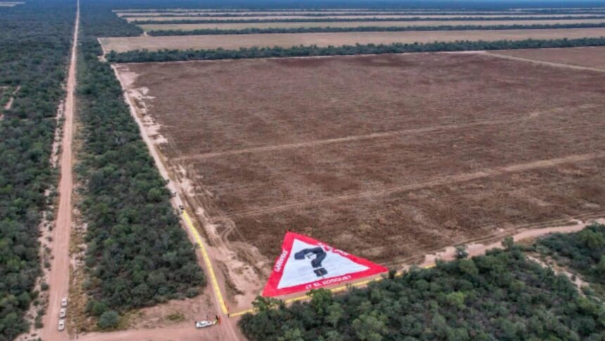 multa-record-y-audiencia-clave-por-el-mayor-desmonte-ilegal-del-pais:-la-justicia-exige-reparar-mas-de-11.000-hectareas-arrasadas