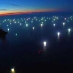 piden-abrir-la-“caja-negra”-de-la-pesca-argentina-con-una-nueva-ley-de-transparencia