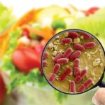 la-amenaza-en-el-plato:-alimentos-contaminados-matan-a-mas-de-1,5-millones-de-personas-al-ano