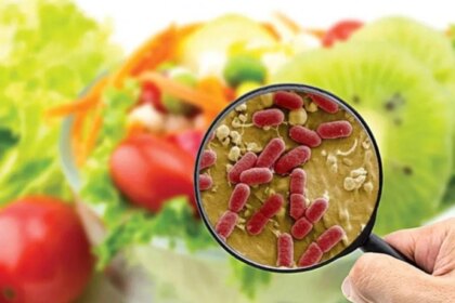 la-amenaza-en-el-plato:-alimentos-contaminados-matan-a-mas-de-1,5-millones-de-personas-al-ano
