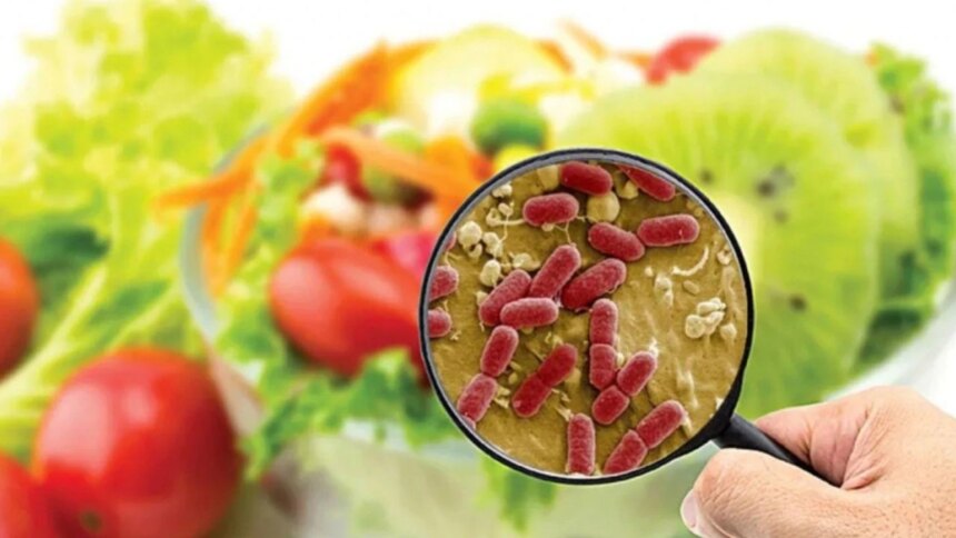 la-amenaza-en-el-plato:-alimentos-contaminados-matan-a-mas-de-1,5-millones-de-personas-al-ano