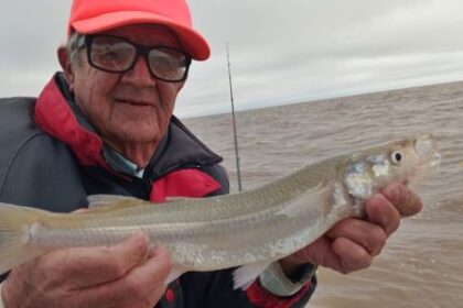 es-la-hora-de-los-matungos:-pejerreyes-trofeo-en-el-rio-de-la-plata-norte