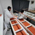 newsan-crece-en-el-negocio-alimenticio-y-compro-una-pesquera-historica-dedicada-a-un-producto-“delicatessen”