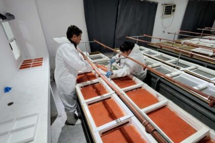 newsan-crece-en-el-negocio-alimenticio-y-compro-una-pesquera-historica-dedicada-a-un-producto-“delicatessen”