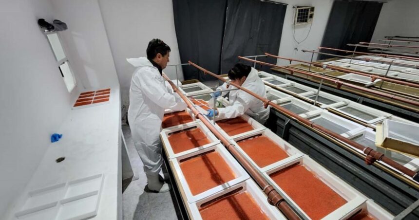 newsan-crece-en-el-negocio-alimenticio-y-compro-una-pesquera-historica-dedicada-a-un-producto-“delicatessen”