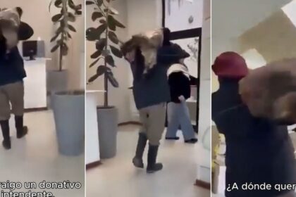 “pura-brutalidad”:-le-descuartizaron-dos-animales-de-alta-genetica-y-tiro-los-restos-en-la-municipalidad-como-protesta