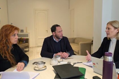 diputados-opositores-impulsan-un-nuevo-proyecto-de-ficha-limpia-por-fuera-de-la-reforma-electoral