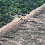 el-senado-dio-un-paso-clave-para-que-el-ecocidio-sea-ley-en-argentina