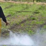 juicio-en-pergamino:-piden-condenas-de-hasta-cuatro-anos-de-prision-por-contaminacion-con-agroquimicos
