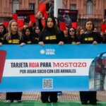 tarjeta-roja-para-mostaza:-denuncian-a-la-empresa-por-“jugar-sucio”-con-los-animales