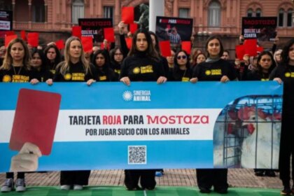 tarjeta-roja-para-mostaza:-denuncian-a-la-empresa-por-“jugar-sucio”-con-los-animales