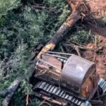 la-justicia-le-pone-un-freno-al-avance-sobre-los-bosques-del-chaco