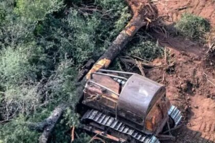 la-justicia-le-pone-un-freno-al-avance-sobre-los-bosques-del-chaco