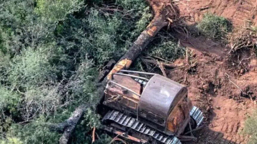 la-justicia-le-pone-un-freno-al-avance-sobre-los-bosques-del-chaco
