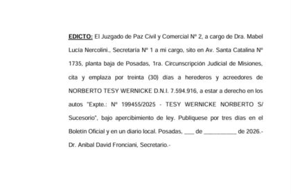el-juzgado-de-paz-civil-y-comercial-no-2-cita-y-emplaza-a-herederos-y-acreedores-de-norberto-tesy-wernicke
