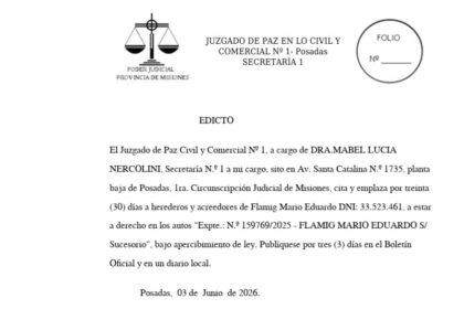 el-juzgado-de-paz-civil-y-comercial-no-1-cita-y-emplaza-a-herederos-y-acreedores-de-flamig-mario-eduardo
