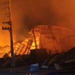 ecocidio-argentino:-el-mapa-de-la-destruccion-ambiental-que-avanza-sin-freno