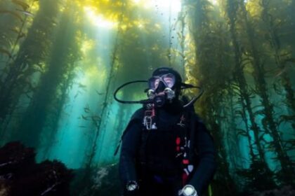 cientificos-argentinos-participaron-en-un-proyecto-clave-para-proteger-los-oceanos-regionales