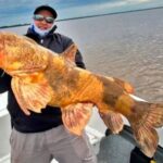 un-gigante-del-fondo:-pescaron-un-manguruyu-de-20-kilos-en-corrientes