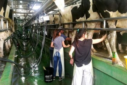 el-gobierno-elimino-el-registro-de-operadores-lacteos-creado-hace-dos-decadas