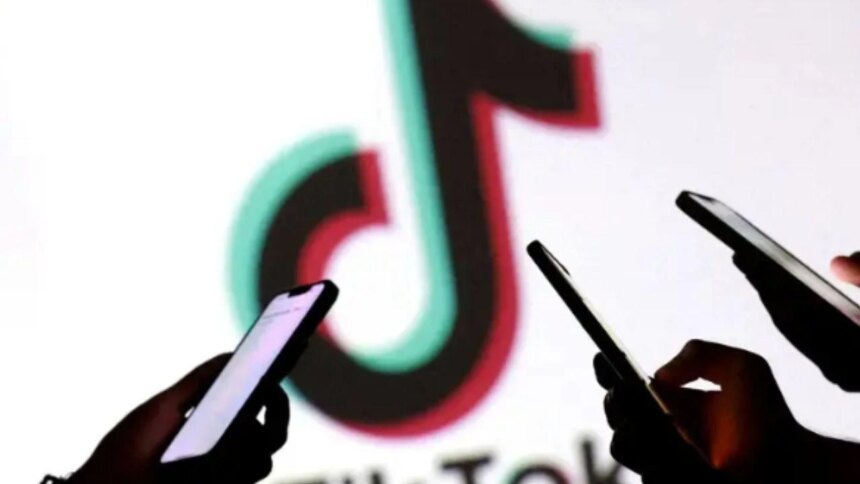 tiktok-suma-llamadas-de-voz-y-profundiza-la-carrera-por-captar-cada-minuto-de-atencion