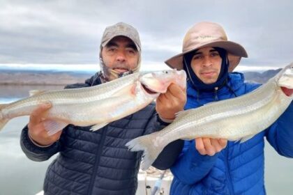 los-pejerreyes-gigantes-de-san-juan-que-atraen-pescadores-de-todo-el-pais