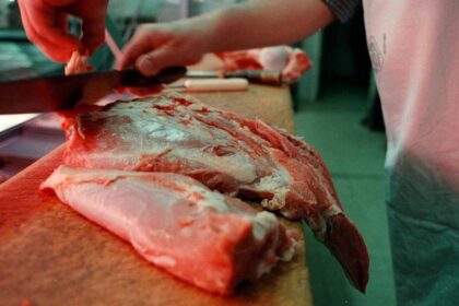 el-consumo-de-carne-vacuna-cae-a-minimos-de-dos-decadas-y-acelera-el-reemplazo-por-pollo-y-cerdo