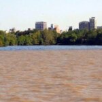 una-investigacion-argentina-pone-bajo-la-lupa-a-un-gigante-desaprovechado
