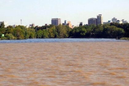 una-investigacion-argentina-pone-bajo-la-lupa-a-un-gigante-desaprovechado
