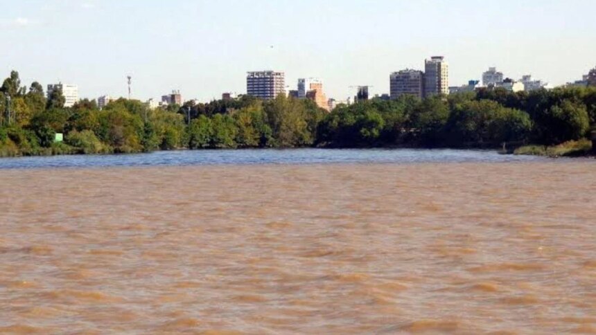 una-investigacion-argentina-pone-bajo-la-lupa-a-un-gigante-desaprovechado