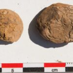 arqueologos-desentierran-unas-raras-papas-deshidratadas-de-500-anos-de-antiguedad-en-un-yacimiento-inca-costero.