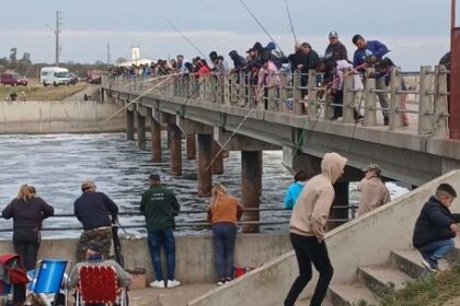 el-regreso-del-pejerrey-disparo-los-controles:-198-procedimientos-en-junin