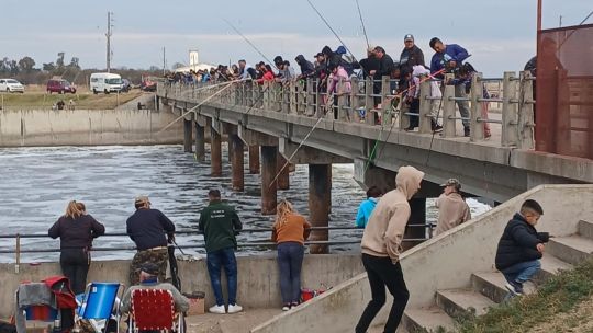 el-regreso-del-pejerrey-disparo-los-controles:-198-procedimientos-en-junin