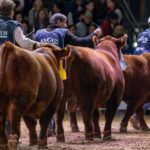 la-interna-de-la-rural-anticipa-un-duro-cruce-en-la-exposicion-de-palermo
