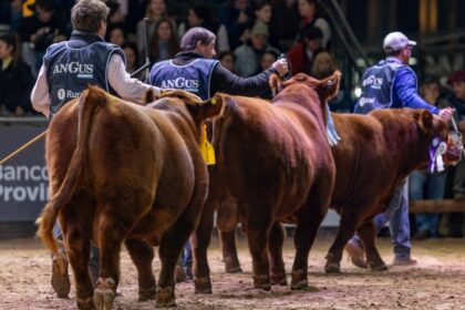 la-interna-de-la-rural-anticipa-un-duro-cruce-en-la-exposicion-de-palermo