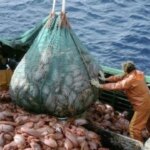 pesca-de-calamar:-la-provincia-cuestiona-la-ampliacion-de-la-flota-y-alerta-por-riesgos-ambientales-y-perjuicios-para-mar-del-plata