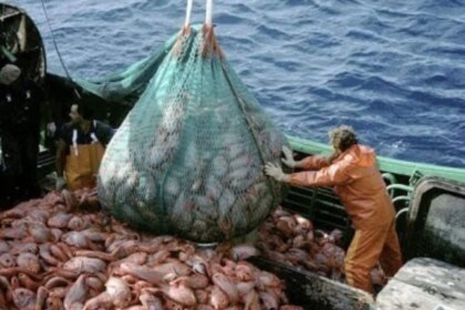 pesca-de-calamar:-la-provincia-cuestiona-la-ampliacion-de-la-flota-y-alerta-por-riesgos-ambientales-y-perjuicios-para-mar-del-plata