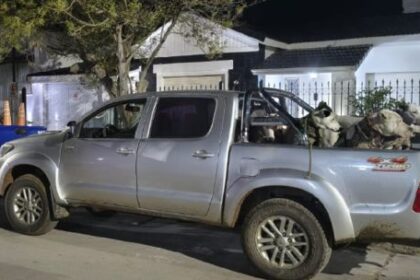 detienen-a-cazadores-furtivos-y-rescatan-a-mas-de-20-perros-de-caza