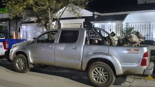 detienen-a-cazadores-furtivos-y-rescatan-a-mas-de-20-perros-de-caza