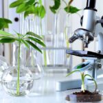 el-gobierno-elimino-restricciones-para-el-patentamiento-de-desarrollos-biotecnologicos